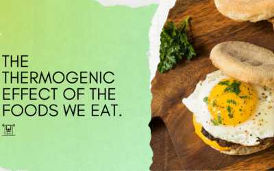 Let us talk about the thermogenic impact of the foods we eat.