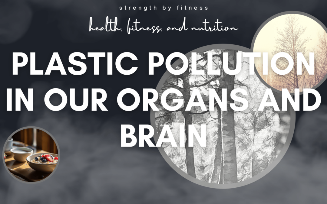 plastic pollution in our brain article from Strength By Fitness