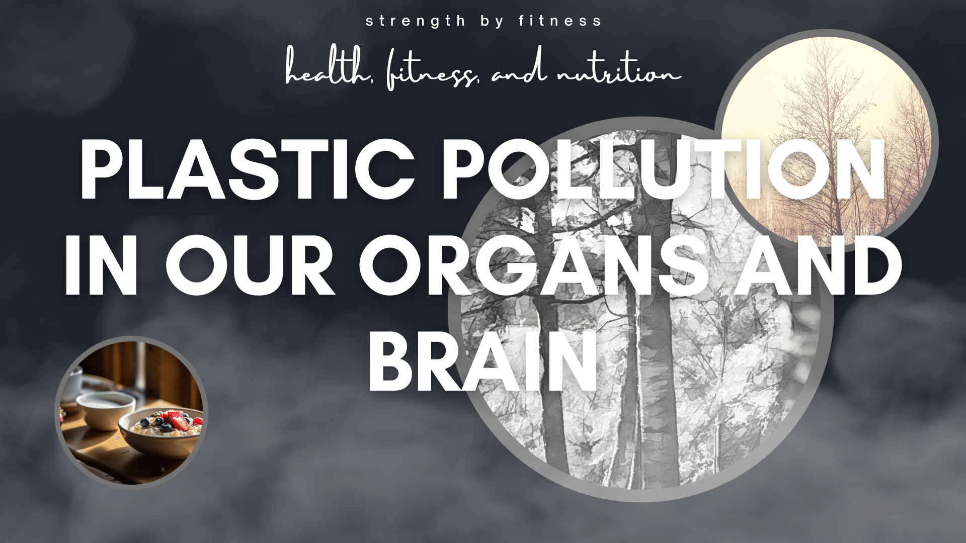 plastic pollution in our brain article from Strength By Fitness