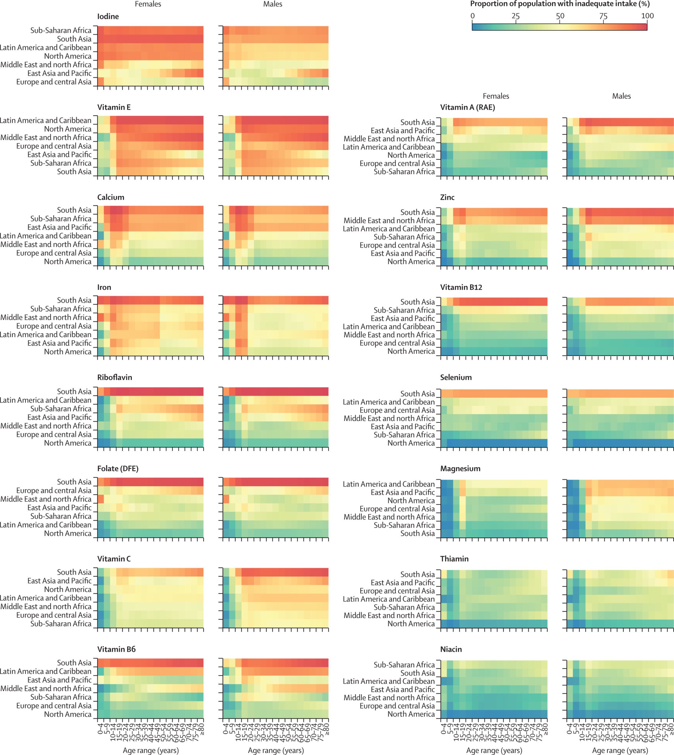 Sttrength by fitness, global nutrient intake.