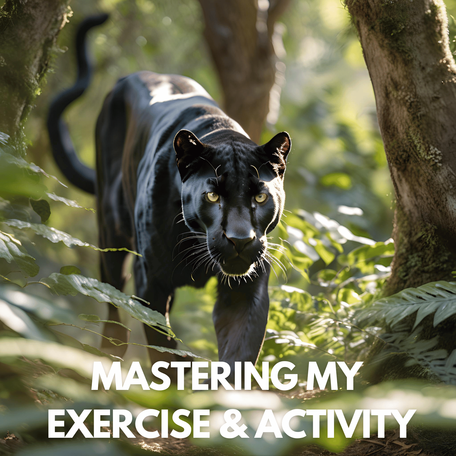 Mastering my exercise and activity, strength by fitness.