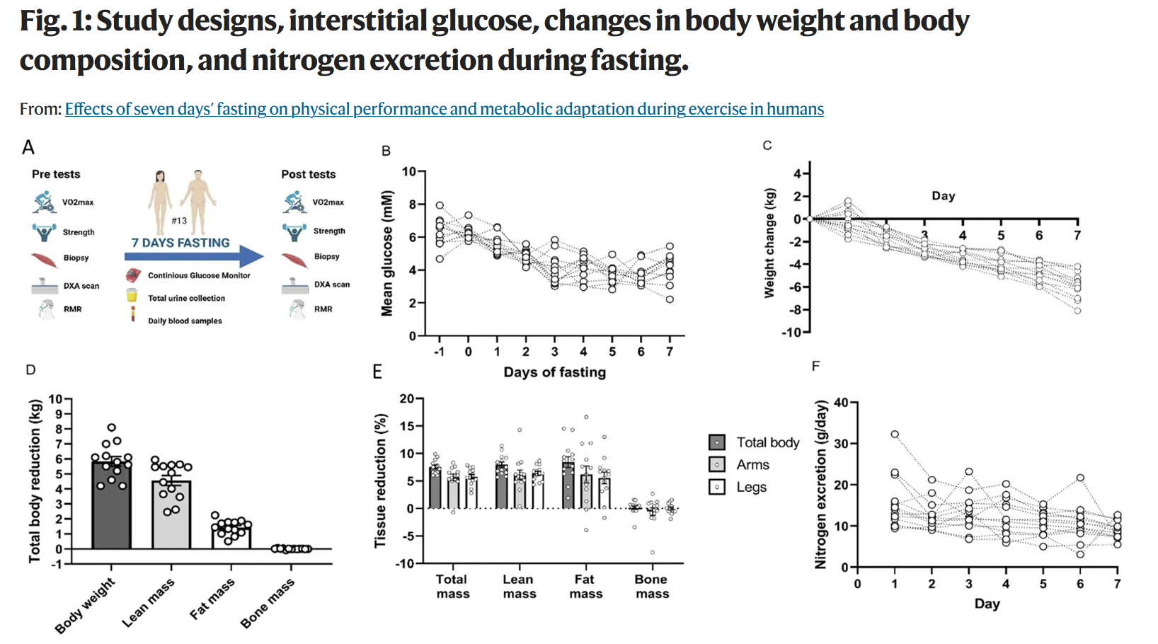 changes in body composition during fsting, strength by fitness article