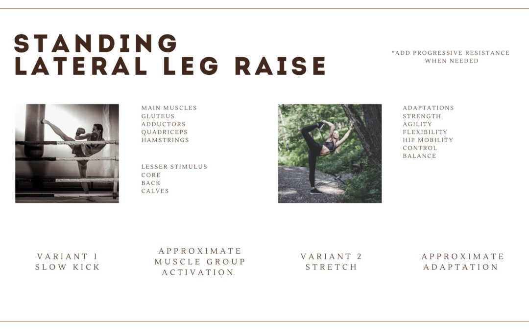 Exercise Library: Standing Lateral Leg Raise