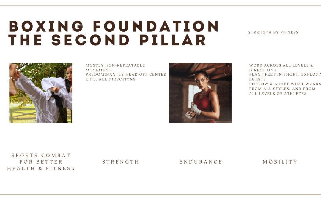 Exercise Library: Boxing Foundation, The Second Pillar. Movement.