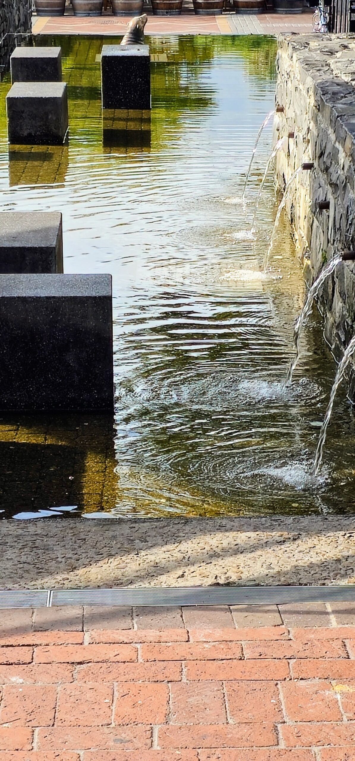 Waterfront, Cape Town, South Africa. Photography Coach Mike and Mida, Strength By Fitness.