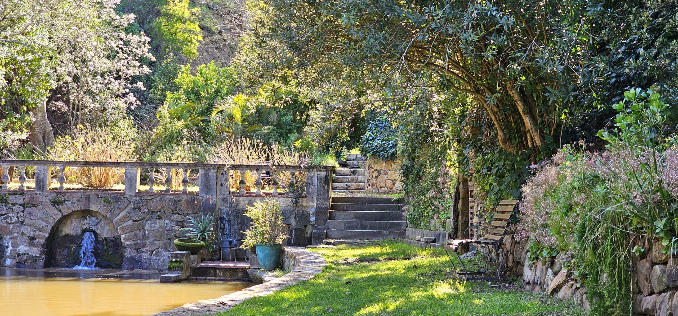 One of many beautiful views, and locations in sunny Cape Town, Soutth Africa. Photography by Coach Mike and Mida, Strength By Fitness.