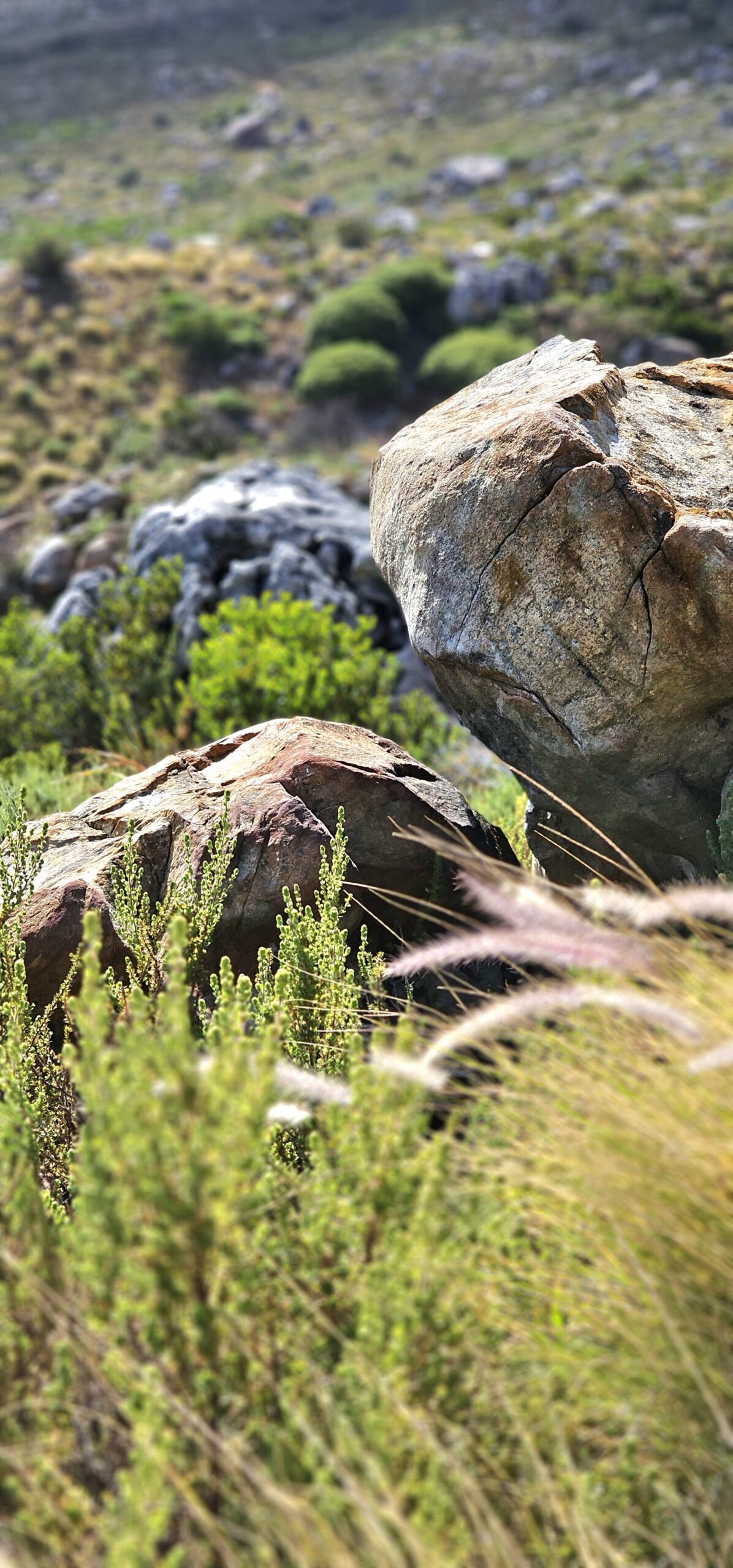 Coach Mike, and Mida, Strength By Fitness and Yoga Mida.