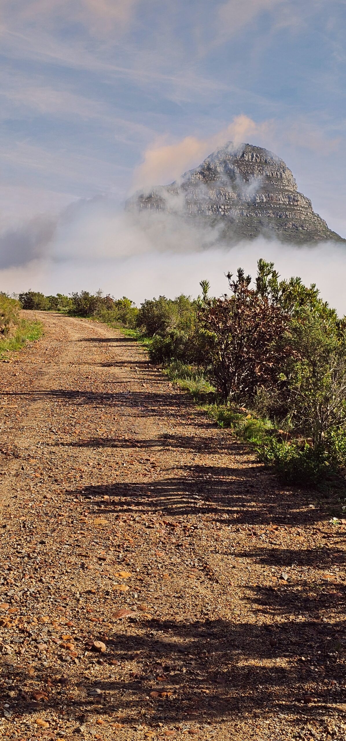One of many beautiful views, and locations in sunny Cape Town, Soutth Africa. Photography by Coach Mike and Mida, Strength By Fitness.